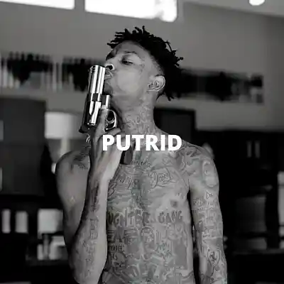 Picture for song 'Putrid (Buy 1 Get 10 Free)' by artist 'Kontraa'