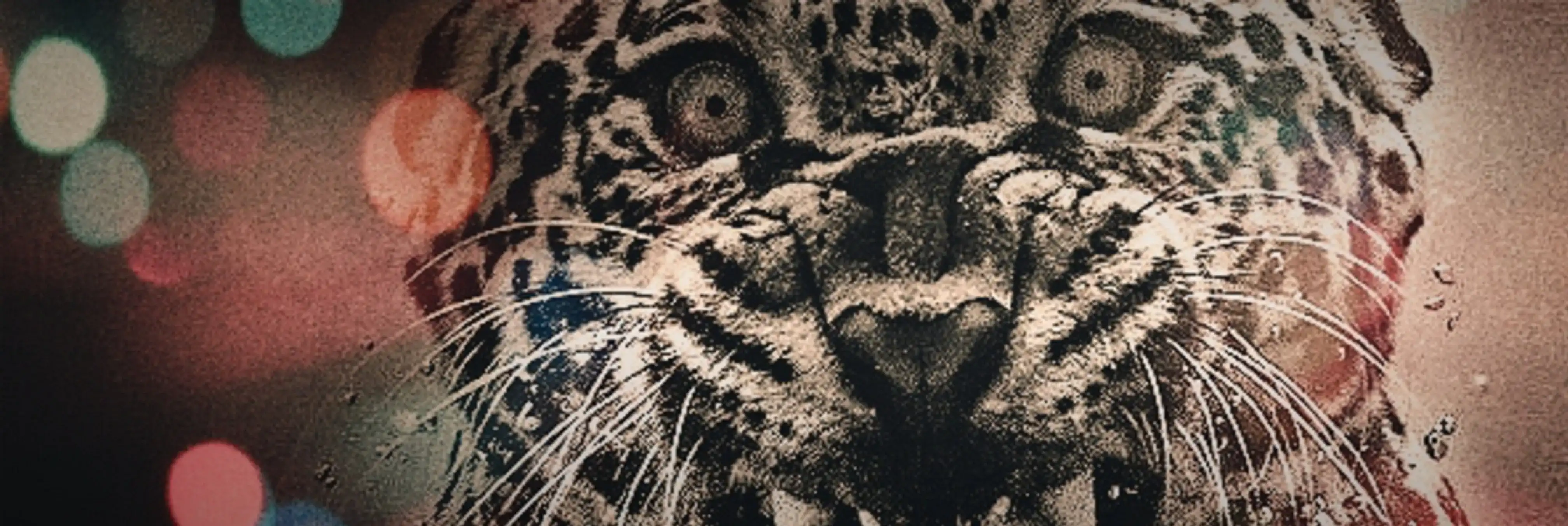 cover pic