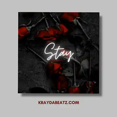 Picture for song 'Stay' by artist 'Krayda Beatz'