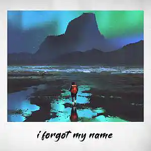 Picture for song 'I forgot my name' by artist 'No Mic'