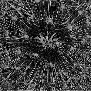 Picture for song 'You Have Rescued Me' by artist 'Rosemary Orrichio-Lash'