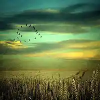 Picture for song 'ONE BY ONE (demo)' by artist 'SANGUINET Jazzband'