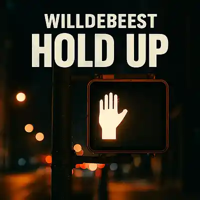 Picture for song 'Hold Up' by artist 'Willdebeest'