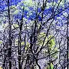 Picture for song 'Atmospheric Summation' by artist 'Andrew Lahiff'