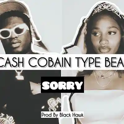 Picture for song '"SORRY" Tiakola Type Beat X Cash Cobain Type Beat' by artist 'Black Hawk'