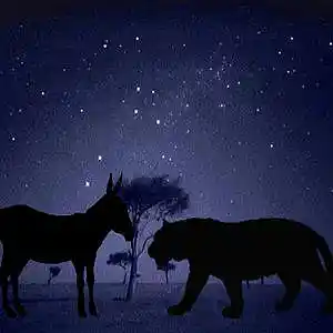 Picture for song 'The Donkey and the Tiger' by artist 'Cam7Song'