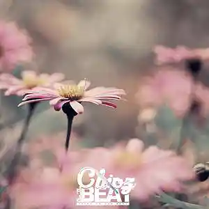 Picture for song 'SOLD* Daze' by artist 'Chipz On The Beat'