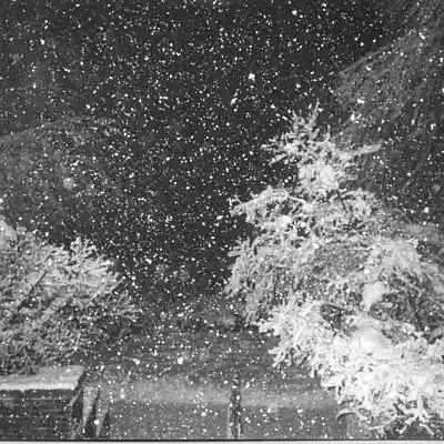 Picture for song 'Falling Snow' by artist 'CocaineChrist'