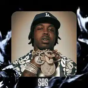 Picture for song '"SOS" EST Gee & Nardo Wick & Future Type Beat' by artist 'D V 1 R V E R S BEATS'
