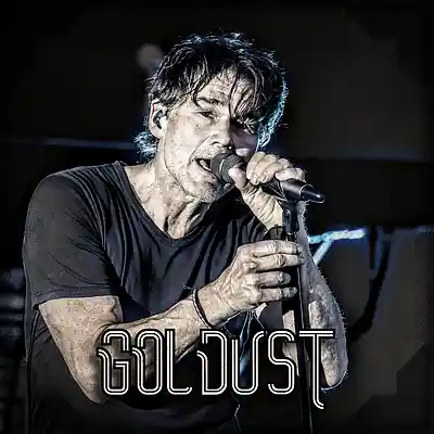 Picture for song '*Goldust* - Retro Synth Pop Dance (Buy 2 Get 1 Fre' by artist 'Elbr'