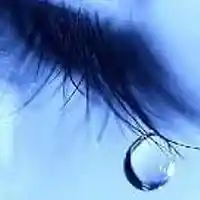 Picture for song 'A Thousand Thoughts In A Teardrop' by artist 'Greg Craft'