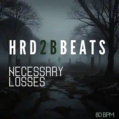 Picture for song 'Necessary Losses' by artist 'HRD2BBEATS'