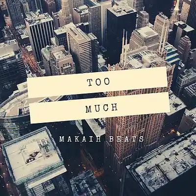 Picture for song 'Too Much' by artist 'Makaih Beats'