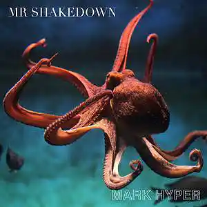 Picture for song 'mr shakedown' by artist 'mark hyper'