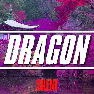 Picture for song 'Dragon (Pop Smoke x Fivio Foreign Type Beat)' by artist 'Silent The Producer'