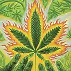 Picture for song 'Free The Weed' by artist 'Soundscape Studios'