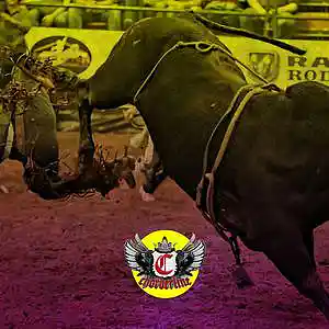 Picture for song 'RODEO (Ron Suno type beat)' by artist 'Chorderline'