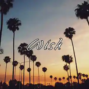 Picture for song 'Wish' by artist 'Frankenstein Beats'