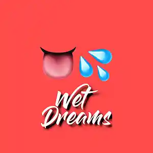 Picture for song 'Wet Dreams' by artist 'MaxSky'