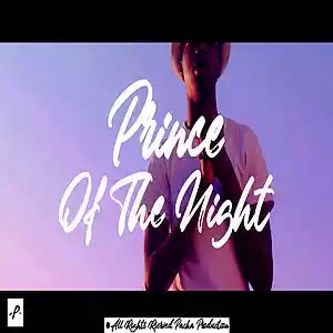 Picture for song 'Prince Of Night' by artist 'Pacha Production'