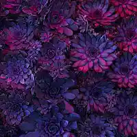 Picture for song '*NEW* Steal Your Heart 98bpm (FREE DL)' by artist 'Runaway Muzic'
