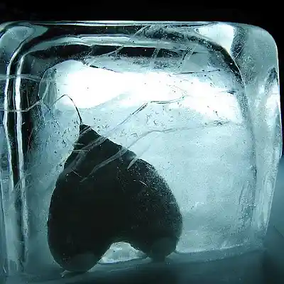Picture for song 'ice ventricle2012.mp3' by artist 'S dot Reap Productions'