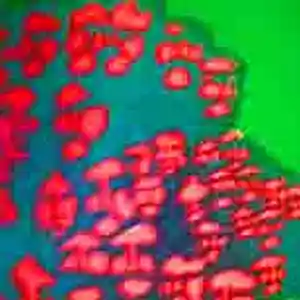 Picture for song 'Rebecca (FREE DOWNLOAD!)' by artist 'BROTHER P ON THE TRAK'