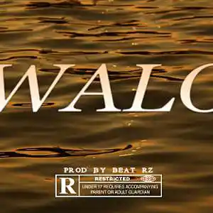 Picture for song '"WALO " - Manal x Kouz1 Type Beat' by artist 'BEAT RZ'