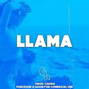 Picture for song 'Reggaeton Romantico Jhay Cortez X Myke Towers' by artist 'Chona'