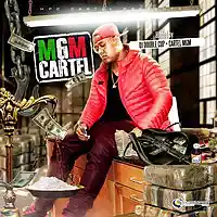 Picture for song 'in many ways (cartel music)' by artist 'DIZZLEMAN T'