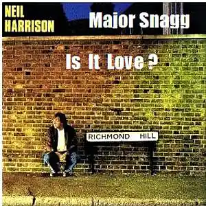 Picture for song 'Is It Love ?' by artist 'Major Snagg'