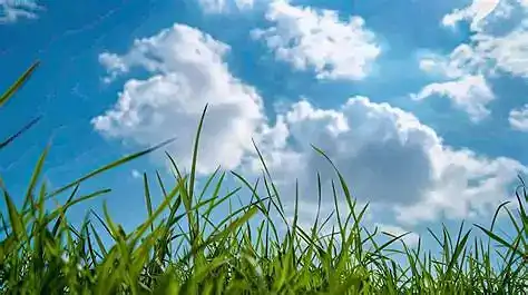Cover picture of song topping the music charts