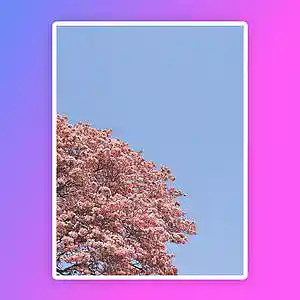 Picture for song 'New Day' by artist 'Xmnondatrack'