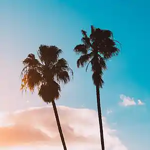 Picture for song 'Fruit' by artist 'P.R Beats'