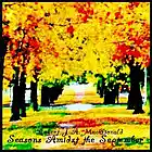 Picture for song 'stargazer thinks' by artist 'robertjamacdonald'