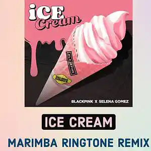 Picture for song 'Sonnerie Gratuite Ice Cream (Marimba Remix)' by artist 'SonneriePortable'