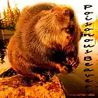 Picture for song 'Poisonous Beavers' by artist 'Stereo2tape'