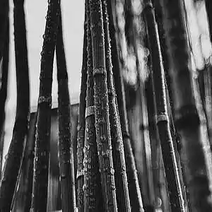 Picture for song 'Prod. @tomi_lago_ 153' by artist 'Tomas Lago'