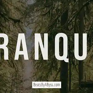 Picture for song 'Tranquil' by artist 'abxxss'