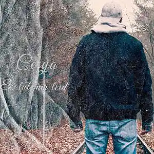 Picture for song 'Ceeya - Es tut mir leid (Prod. by Veyzigs)' by artist 'CeeyaMusik'