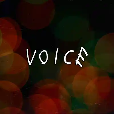 Picture for song 'Voice (Free Download)' by artist 'Frankenstein Beats'
