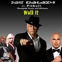 Picture for song 'Walk It - (Ft Pitbull Renegade Foxxx) Clean' by artist 'JOE GALAXY'