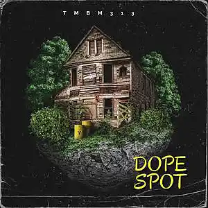 Picture for song 'Dope Spot' by artist 'TMBM313'
