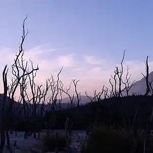 Picture for song '"Weekend"-Rap Instrumental(Prod.whoDeany)' by artist 'whoDeanyBeatz'