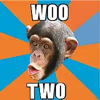 Picture for song 'Mr Woo Two' by artist 'XL73'