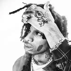 Picture for song 'summer bummer /Lil uzi vert x Lana del ray/' by artist 'YANDEE'