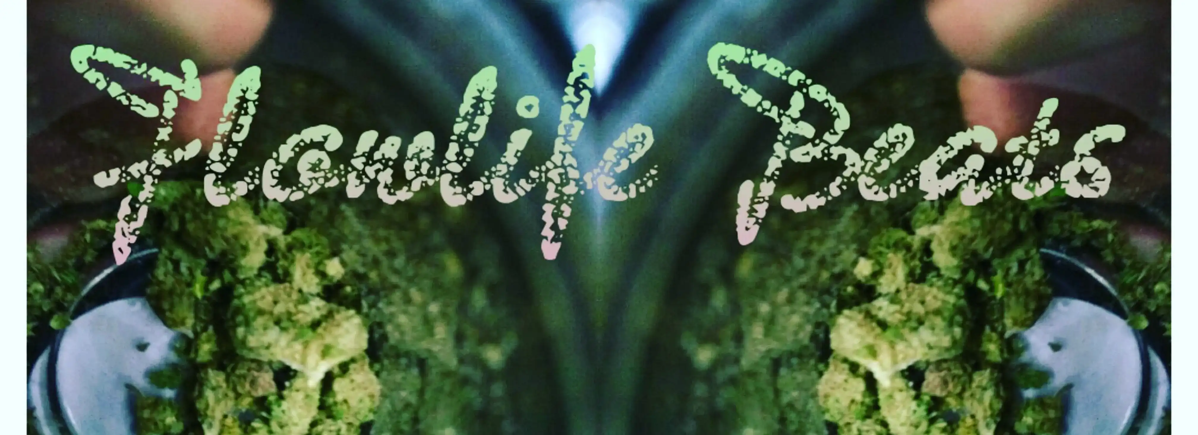 cover pic