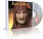 Picture for song 'Mit dem Wind' by artist 'Bodo Goelnitz'
