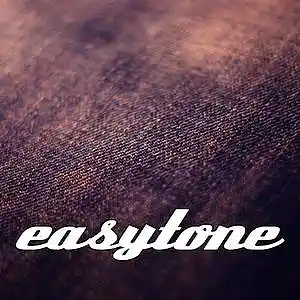 Picture for song 'Follow Your Dreams // Kelly's Mass' by artist 'easytone'