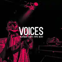 Picture for song 'Voices' by artist 'Jake Mark Music'